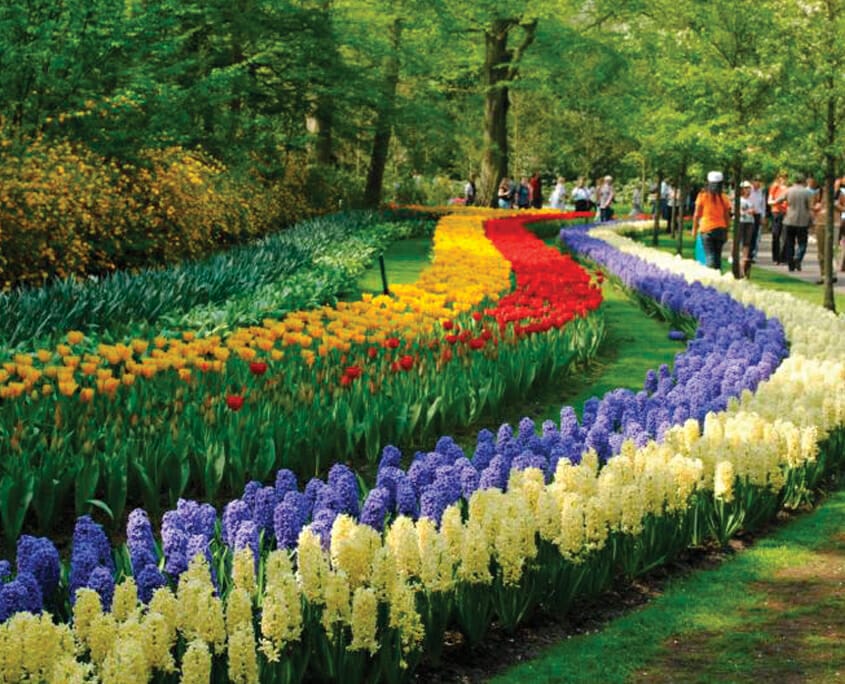 Holland, Michigan’s Tulip Time Festival | May 7-9, 2020